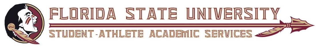 saassummer-fsu logo